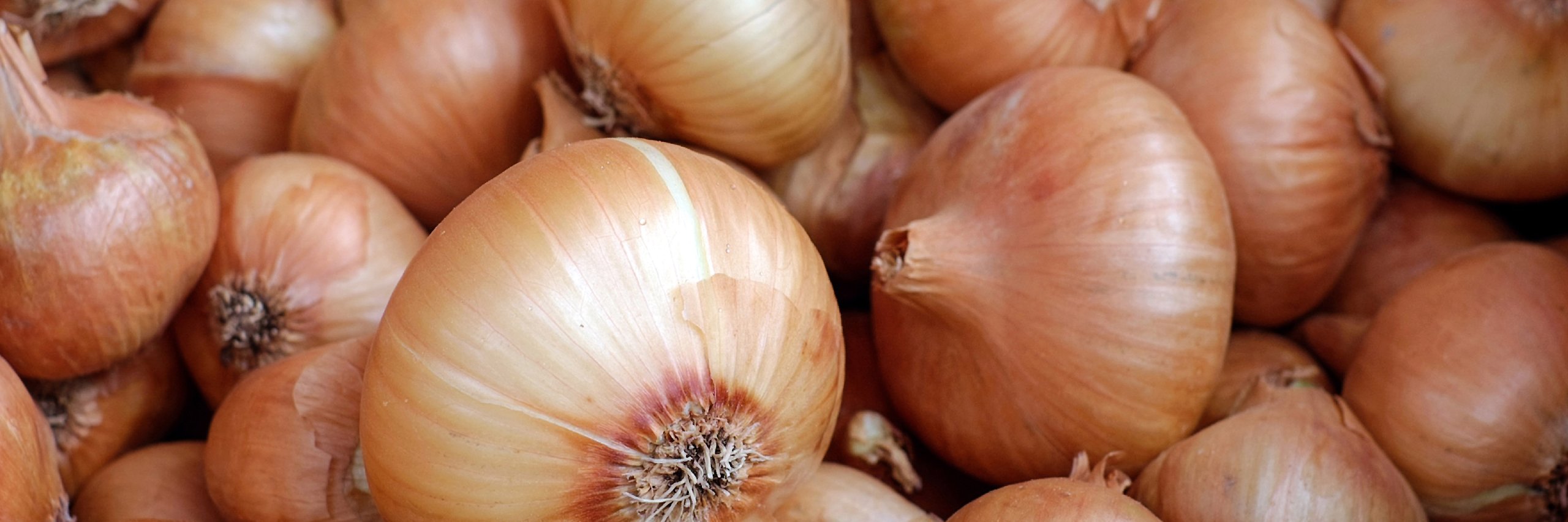 Flammkuchen ab 16 Uhr (außer montags)